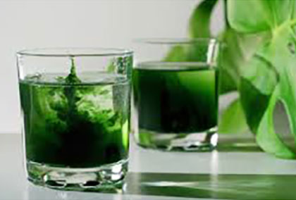 chlorophyll